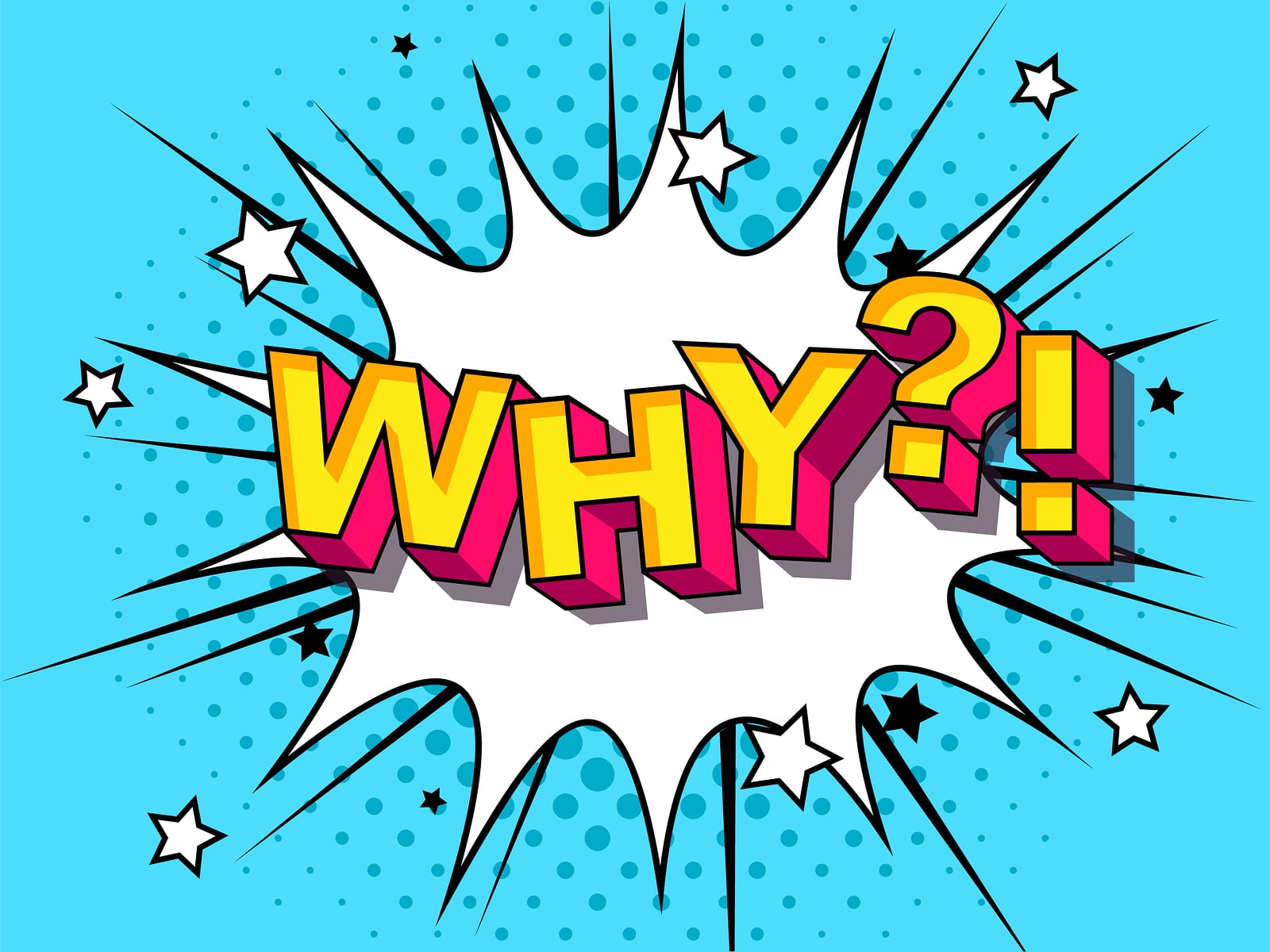 New Vision Learning – Supplemental College Essays: Focus on The WHY's